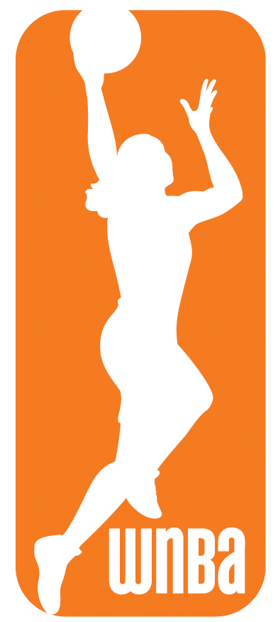 WNBA 2013-Pres Primary Logo iron on heat transfer